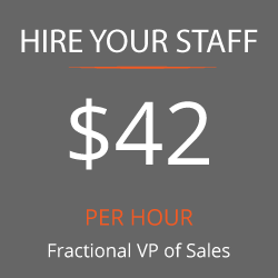 Fractional VP of Sales