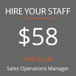 Sales Operations Manager